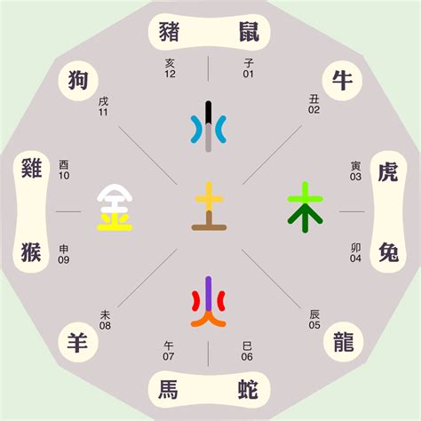 辰 屬性|【辰屬性】辰之五行屬性：揭開十二地支的五行之秘